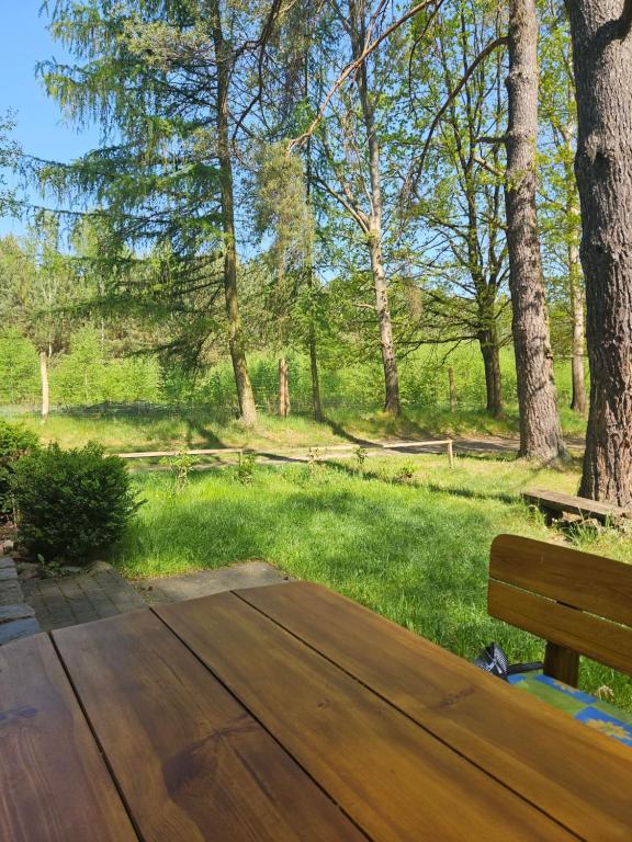 una panchina di legno in un parco con alberi e erba di Domek na jeziorem a Ostróda