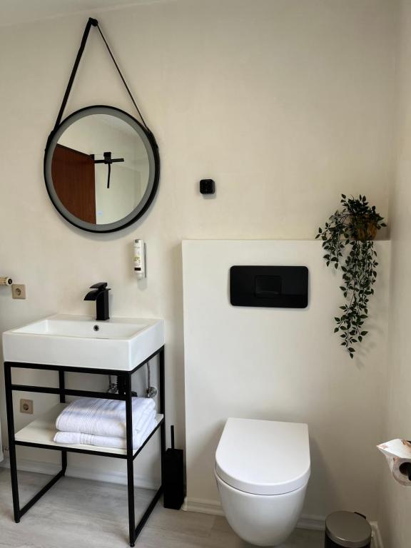 a bathroom with a sink and a mirror and a toilet at Familienglück im Odenwald in Grasellenbach