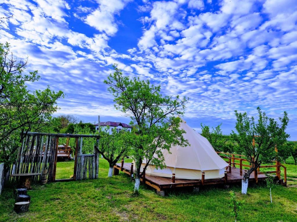 a tent in a field with a fence and trees at Glamping Livada cu lavanda in Podişor