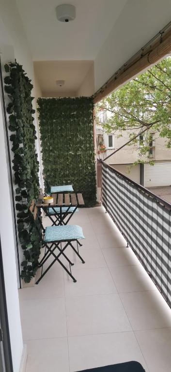 Apartment Homey - 11