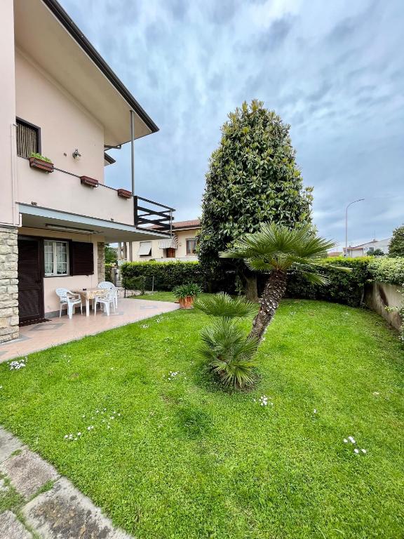 un patio trasero con una palmera en el césped en La casa di Tamara en Torre del Lago Puccini