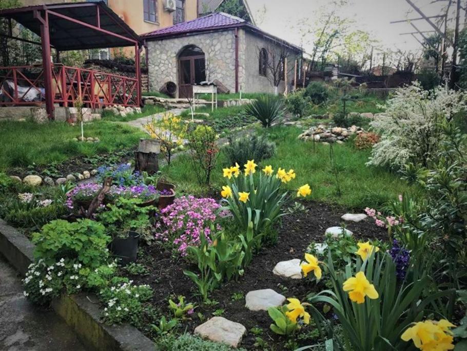 Сад в GuestHouse LILIA &Wine Celler