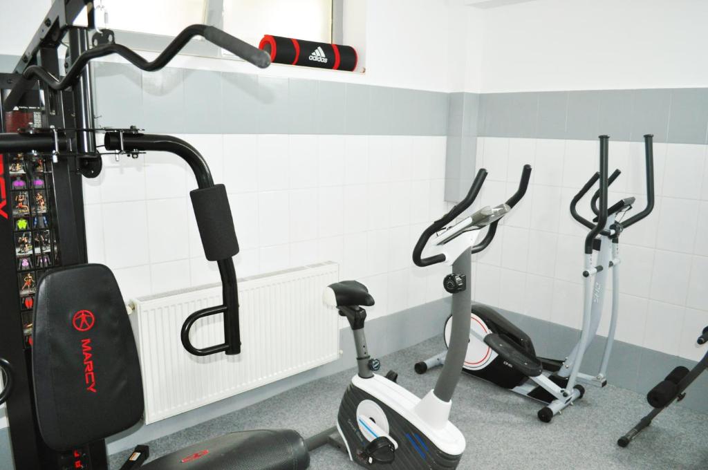 Fitness centrum a/nebo fitness zařízení v ubytování Hotel Athos R.M.T.