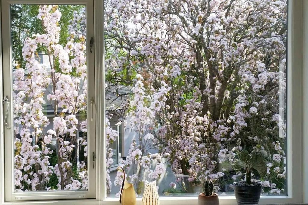 een raam met een boom met roze bloemen erin bij Moderne villalejlighed på 110 kvm + stor terrasse in Viby