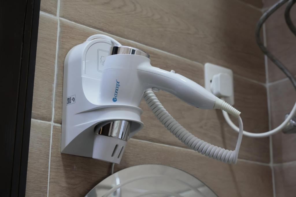 فندق روز الجنوب - Twin Room