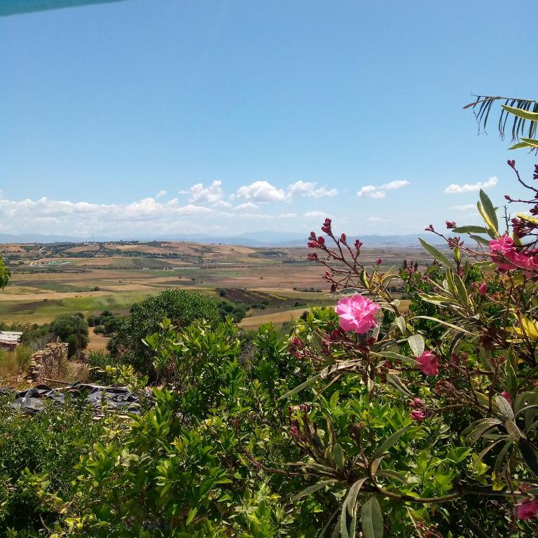 a view from the top of a hill with pink flowers at Sahi family in Mejlaou