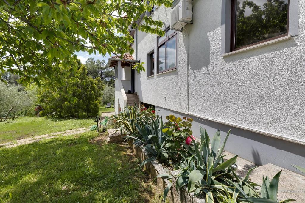 Zahrada ubytování Apartments Dado