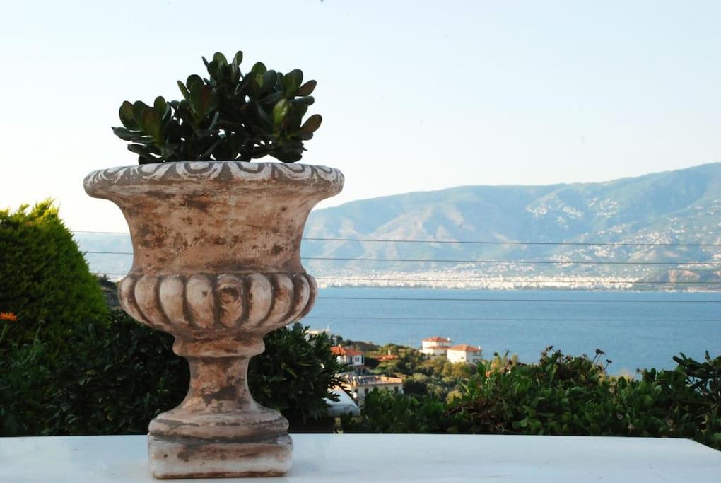 a plant in a stone vase sitting on a ledge at Evelina - Home with View in Volos