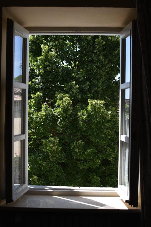 Ogród w obiekcie Casa Rovelli