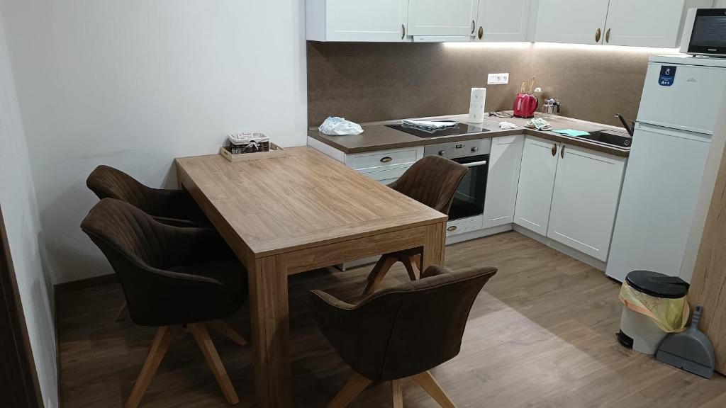 Kuchyň nebo kuchyňský kout v ubytování Apartmán Sofia