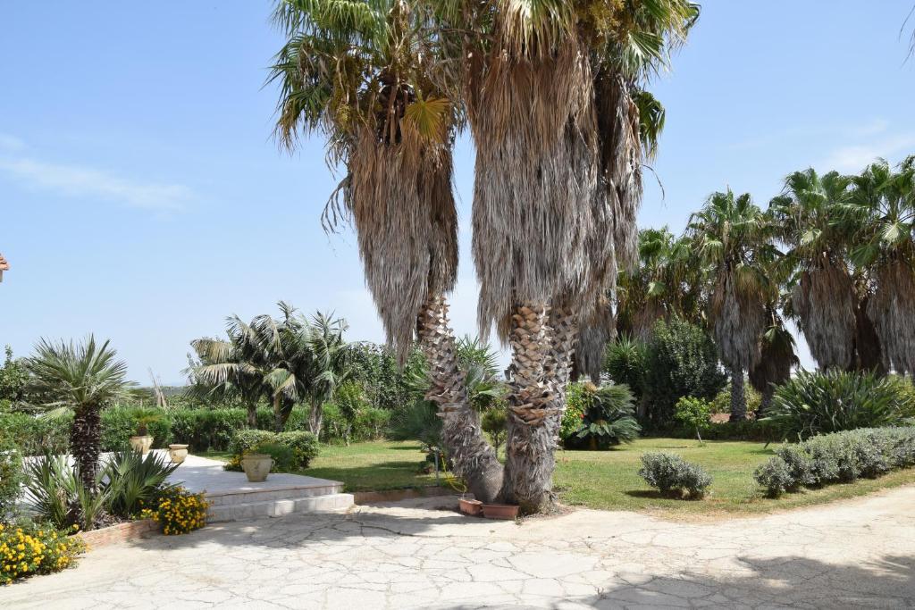 un grupo de palmeras en un parque en La "Piccola della Gioia" en Birgi Vecchi