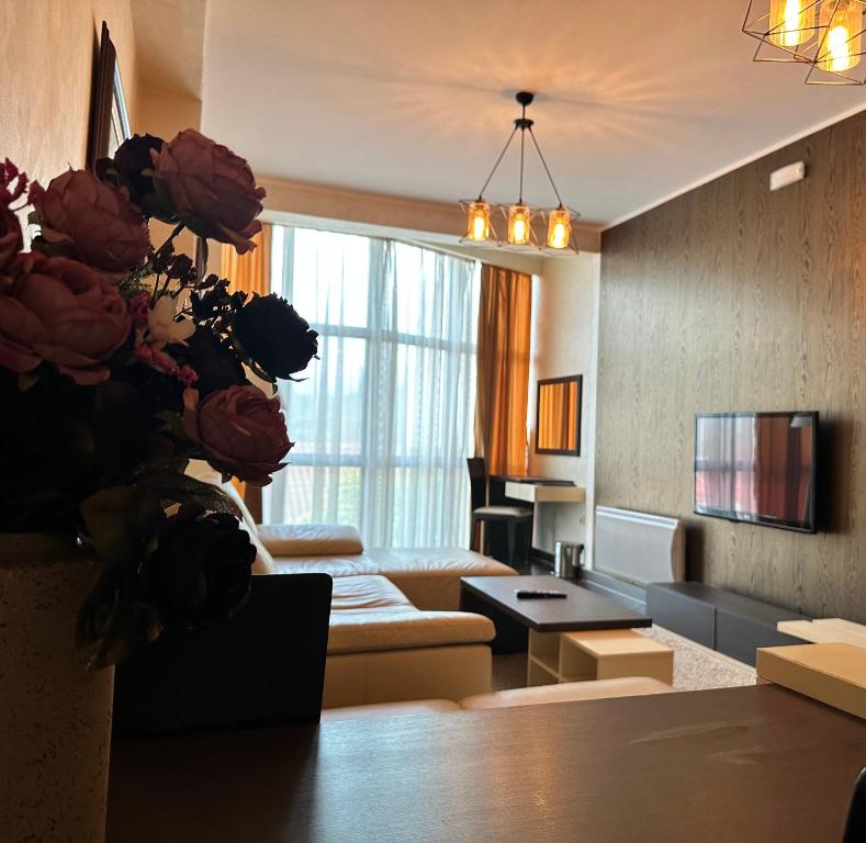 TV a/nebo společenská místnost v ubytování Hotel Alexandar Lux