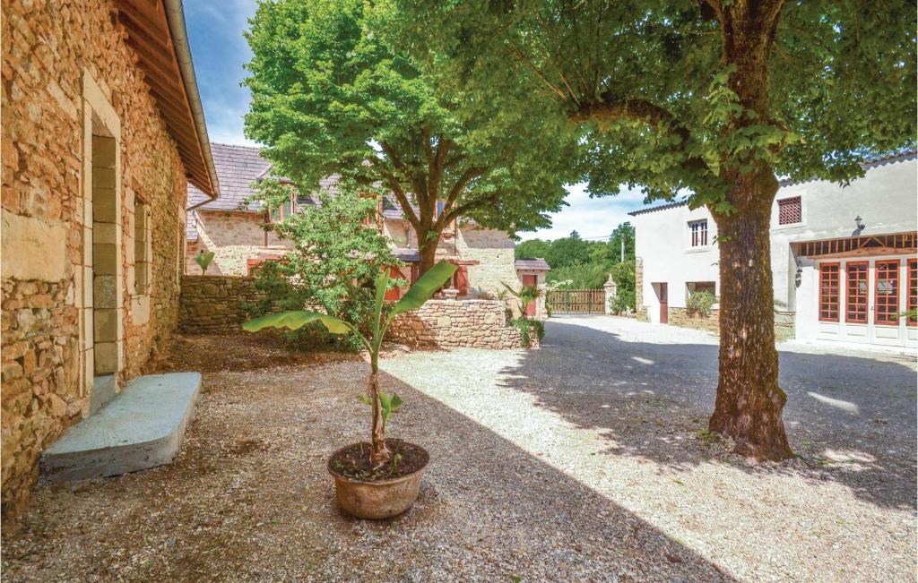 a small tree in a pot next to a building at Stunning Home In Terrasspn-lavilledieu With 3 Bedrooms, Wifi And Outdoor Swimming Pool in Bouillac