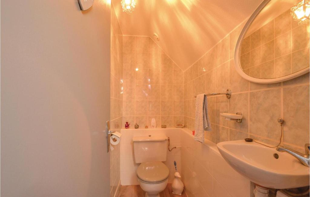 a bathroom with a toilet and a sink and a mirror at Stunning Home In Terrasspn-lavilledieu With 3 Bedrooms, Wifi And Outdoor Swimming Pool in Bouillac