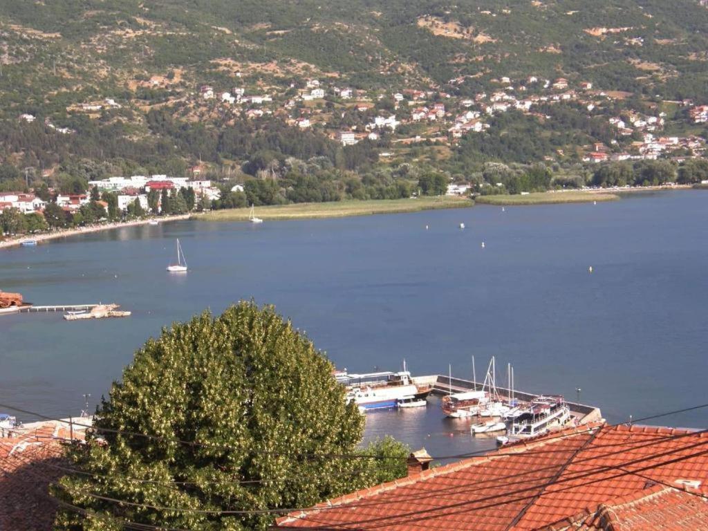 Villa Scandik Ohrid في أوخريد: اطلالة على ميناء مع قوارب في الماء