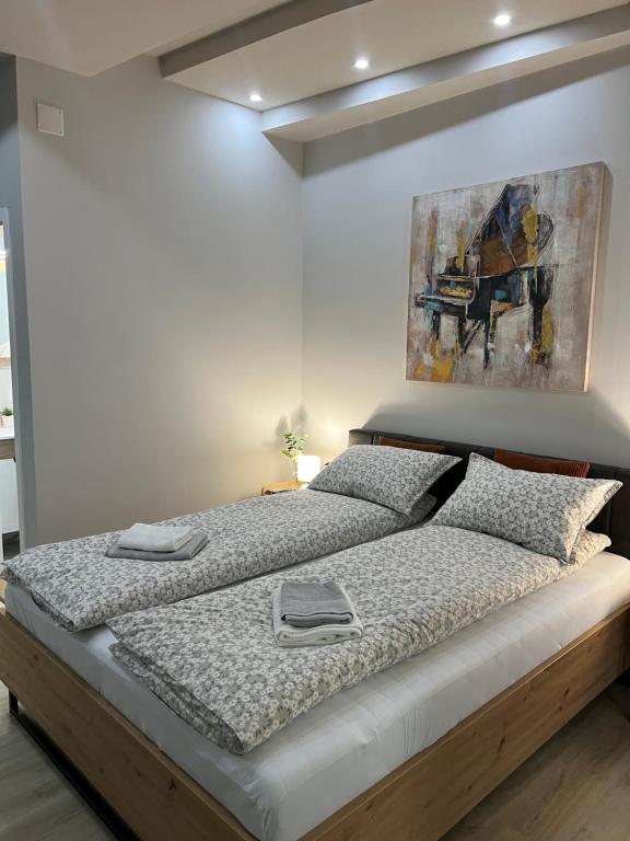 1 cama en un dormitorio con una pintura en la pared en Apartman Time out 1, en Sombor