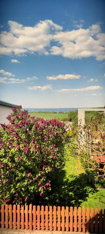 a bush with pink flowers behind a wooden fence at Ferienhaus in der Hansestadt mit Blick auf Ostsee in Wismar