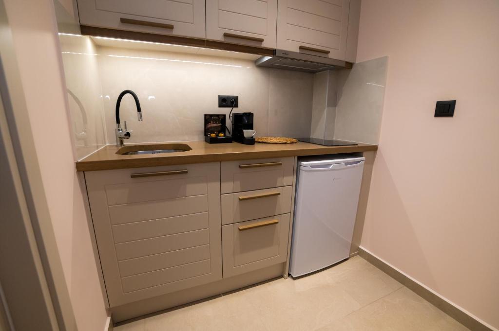 a small kitchen with a sink and a dishwasher at Nissos Apartments in Myrina