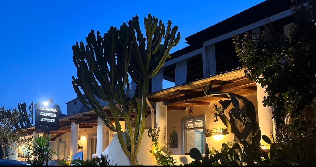 un cactus frente a un edificio por la noche en La Giara, en Vulcano