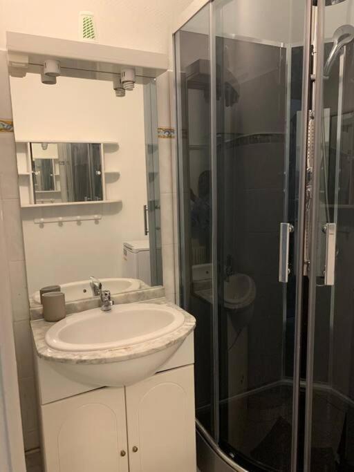 a bathroom with a sink and a glass shower at Appartement meublé proche du centre - Wifi&#47;Parking in Clermont-Ferrand