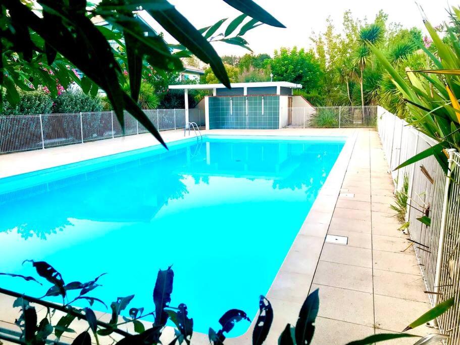 een zwembad met blauw water in een tuin bij Confort plage piscine in Saint-Vincent-de-Tyrosse