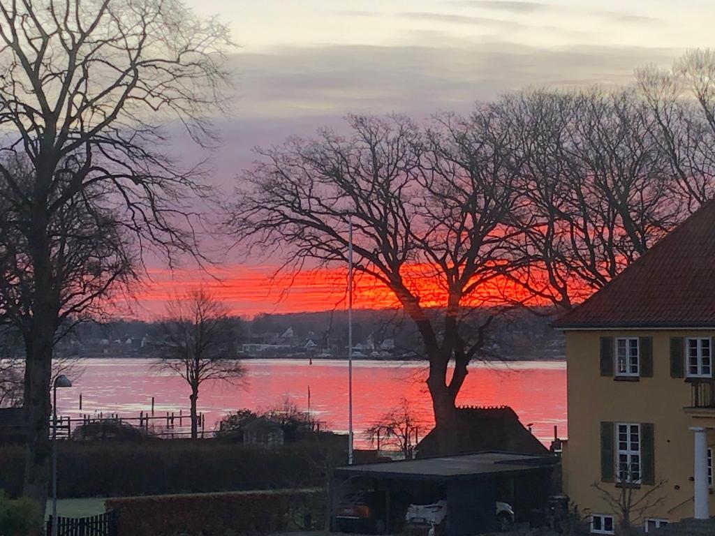 um pôr-do-sol sobre um corpo de água com uma árvore em Sundkig fra 1. Sal em Svendborg