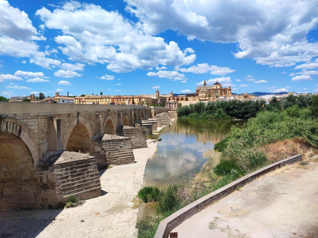 Apartamento Alcázar San Basilio - 14