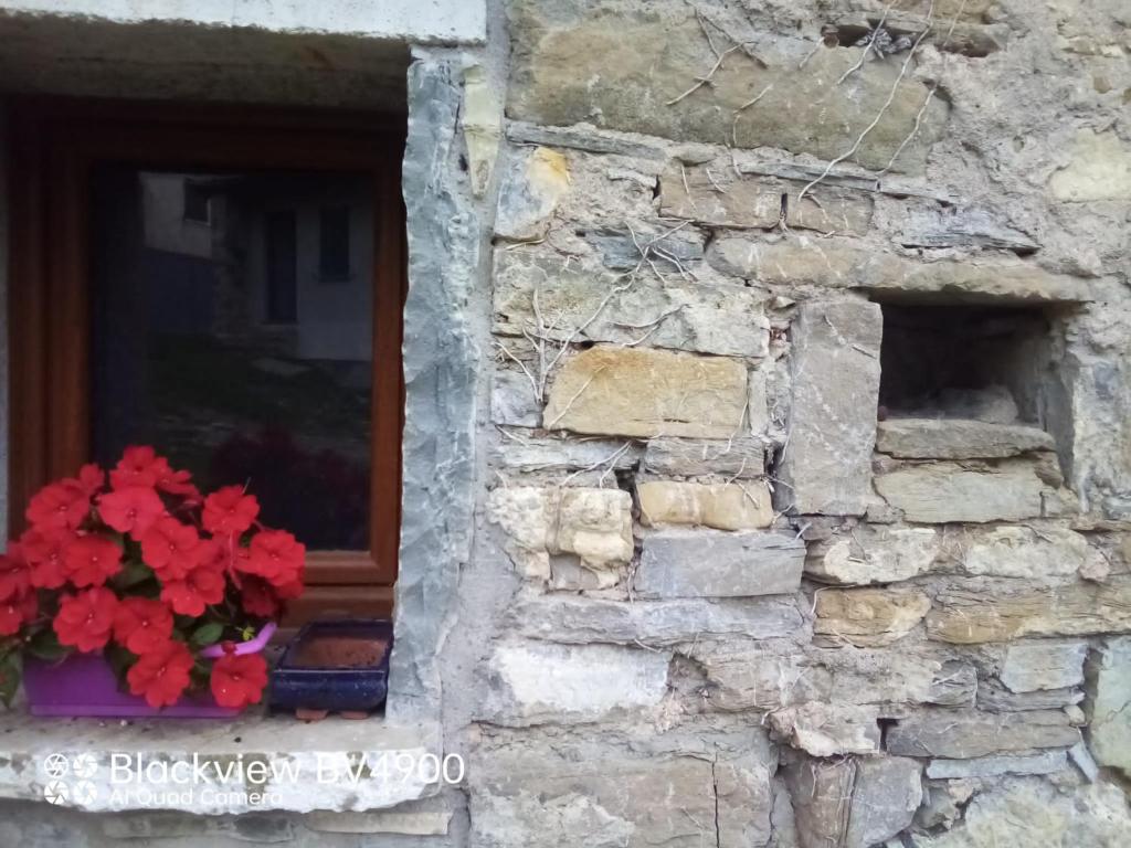 una ventana con una maceta de flores en una pared de piedra en Segarati Relax Ca Perdissi, en Bardi