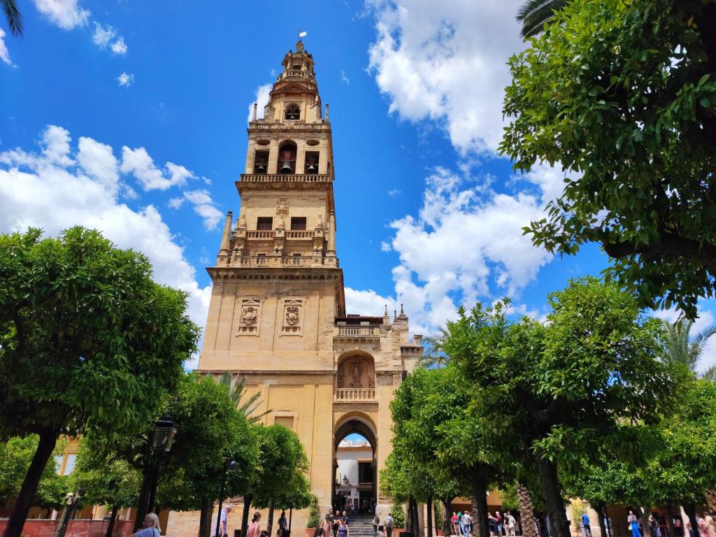 Apartamento Alcázar San Basilio - 15