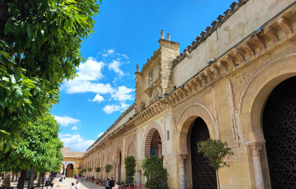 Apartamento Alcázar San Basilio - 17