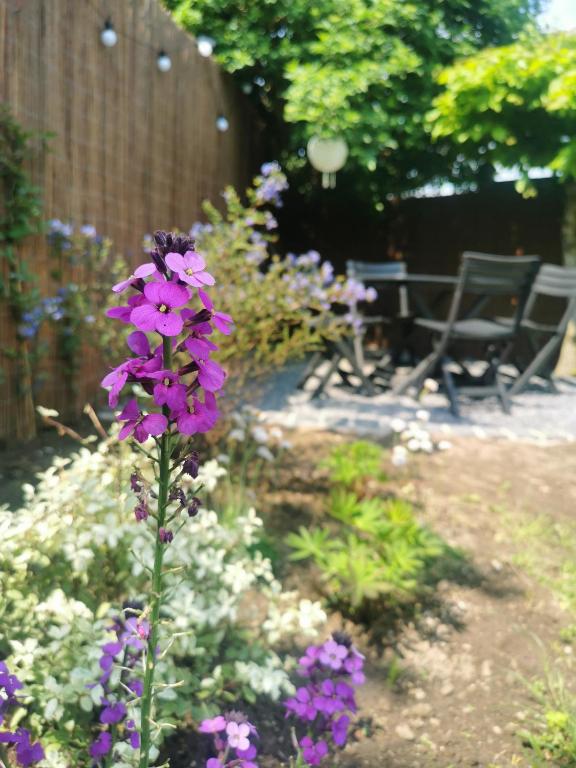 Ogród w obiekcie Hydrangea Cottage Arras