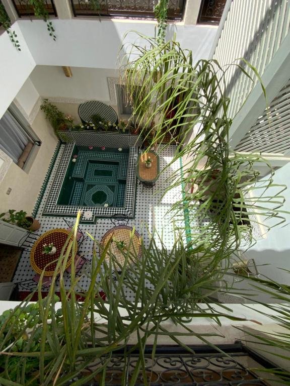 Bazén v ubytování Riad Magnolia&SPA nebo v jeho okolí