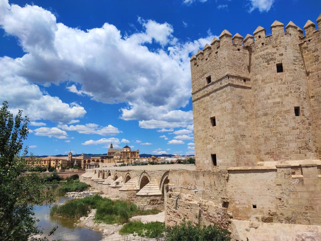 Apartamento Alcázar San Basilio - 19