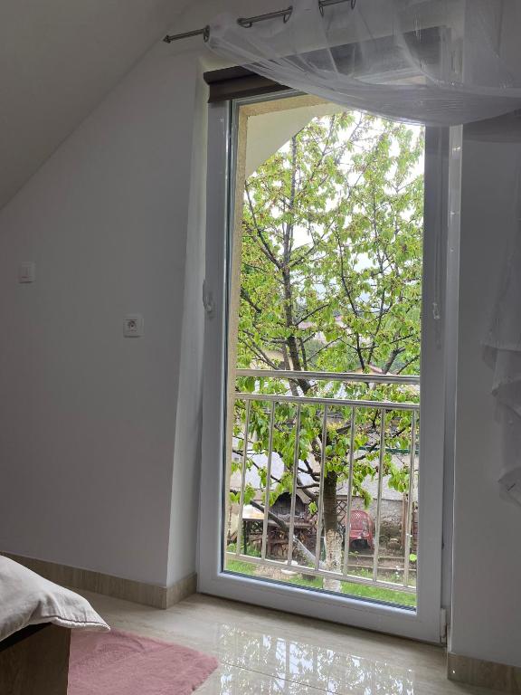 Zahrada ubytování Apartma Azurre