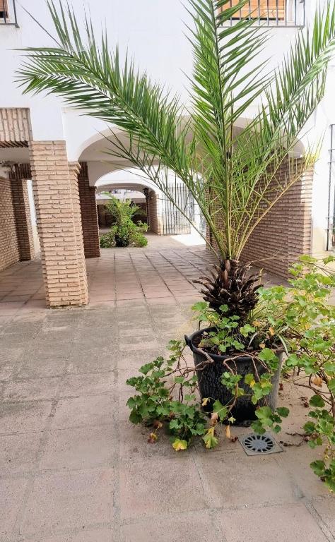 Apartamento Alcázar San Basilio - 11