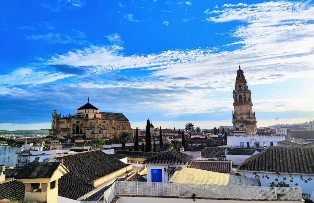 Apartamento Alcázar San Basilio - 18