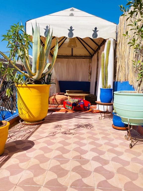 Patio nebo venkovní prostory v ubytování RIAD GALIYA