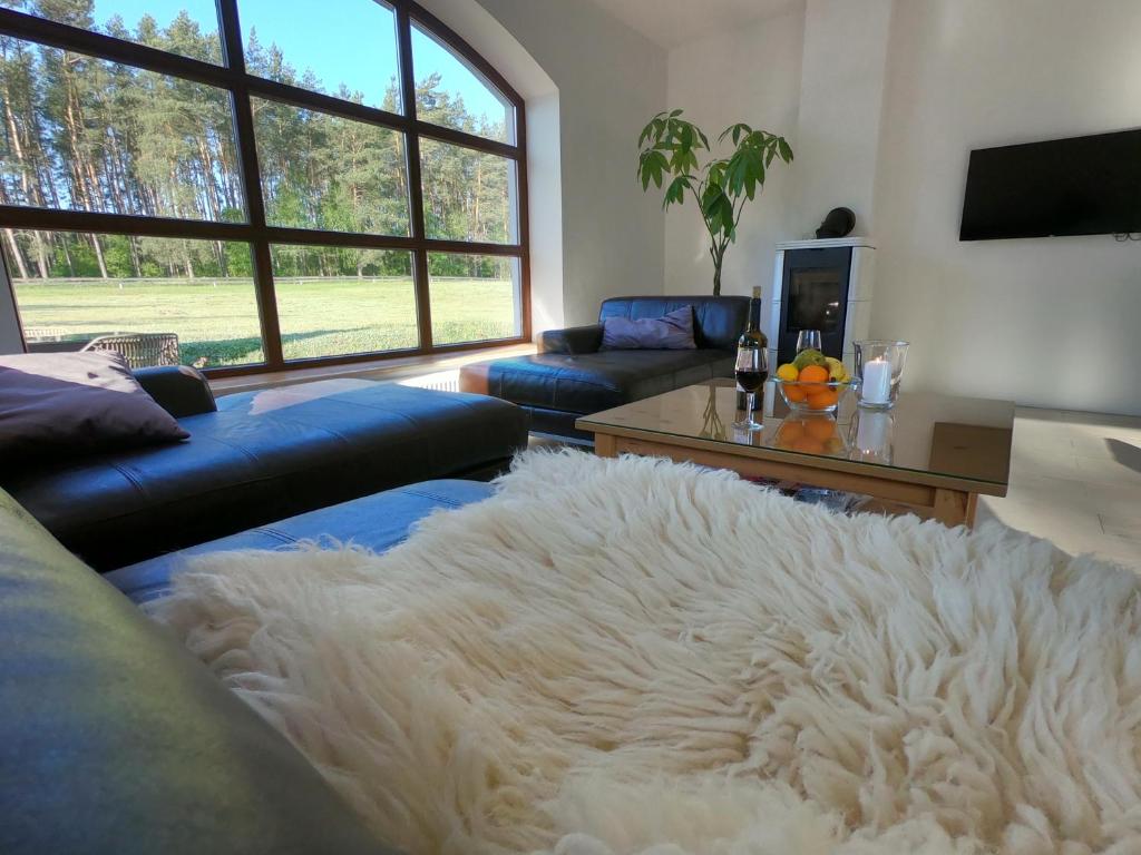 una sala de estar con sofá y una gran alfombra de piel en Całoroczny domek w lesie Puszcza Zielonka, en Kiszkowo