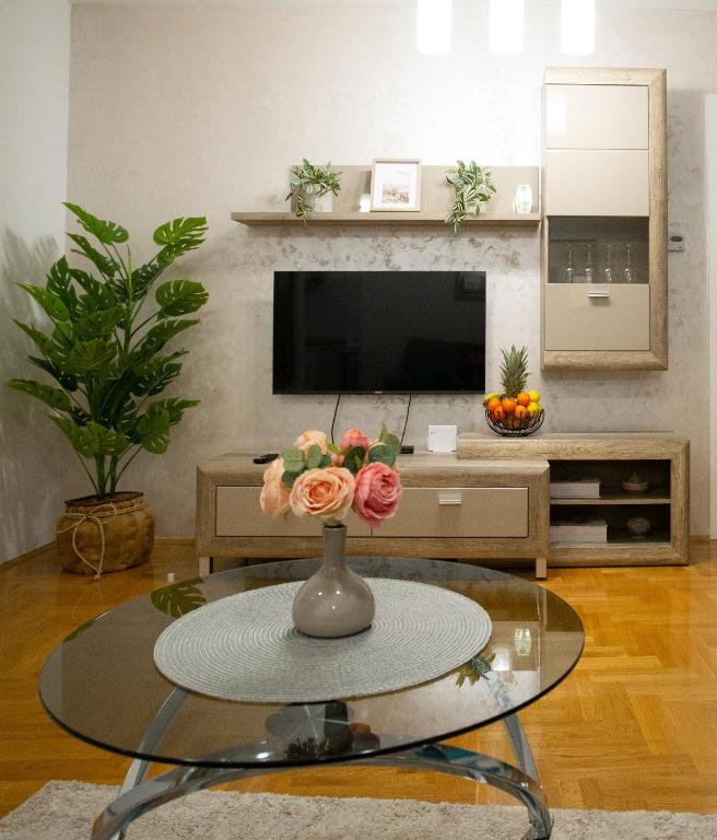 TV a/nebo společenská místnost v ubytování Apartman SUNSET