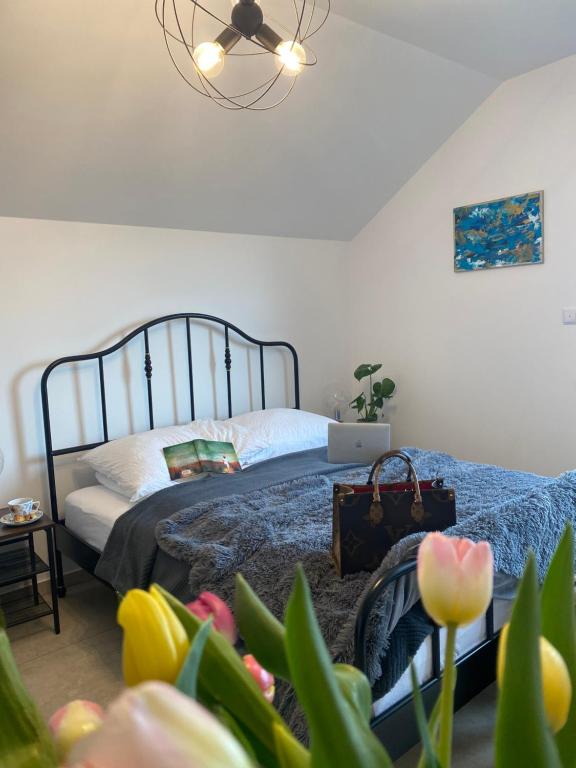 VILLA COASTER ENERGYLANDIA - Zator - 12