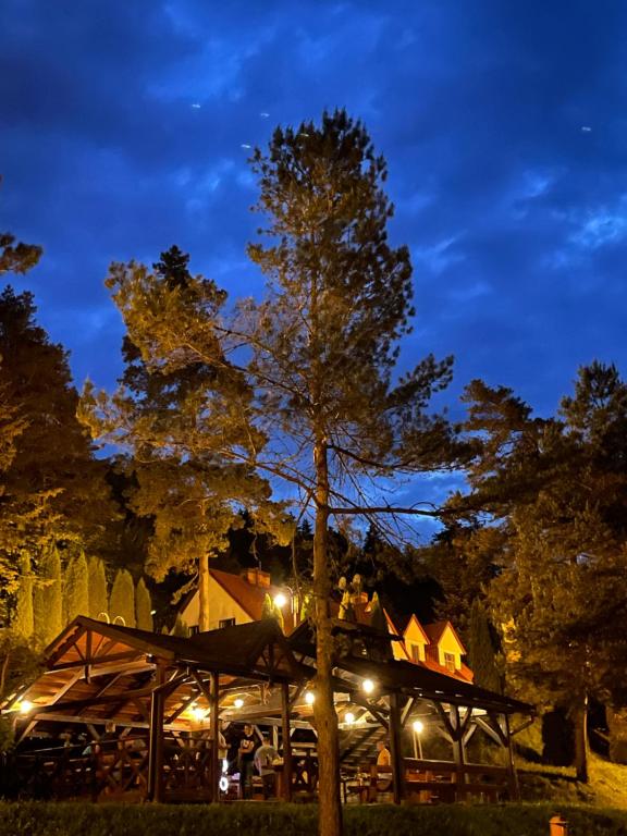 un arbre devant un bâtiment la nuit dans l'établissement Magurska Ostoja, à Jasło