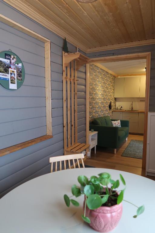 Hammarstrand B&B och lägenhet - Appartement Met één Slaapkamer