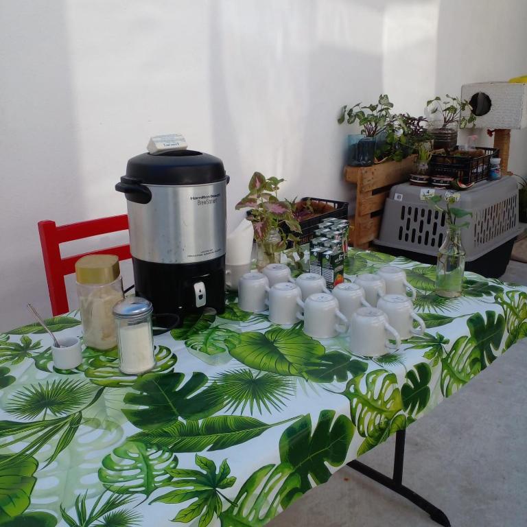 Fotografie z fotogalerie ubytování Vive Alegria Hostel v destinaci Puerto Vallarta
