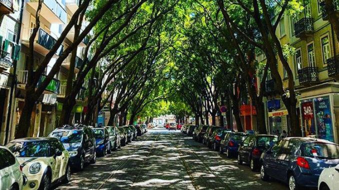 eine Reihe von Autos, die auf einer Straße mit Bäumen geparkt sind in der Unterkunft Rooms to rent in a friendly apartment in Lissabon