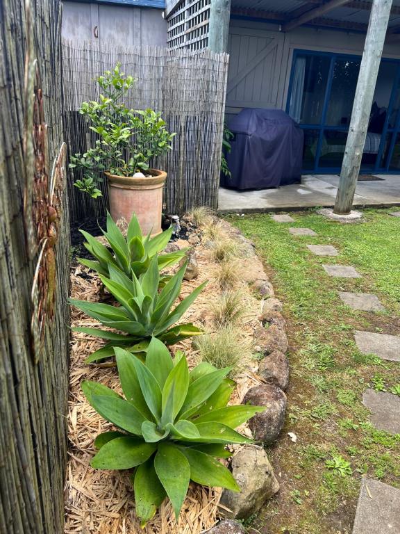 A Cut Above Lodge - The Gateway to the Bay of Islands - Resim 32