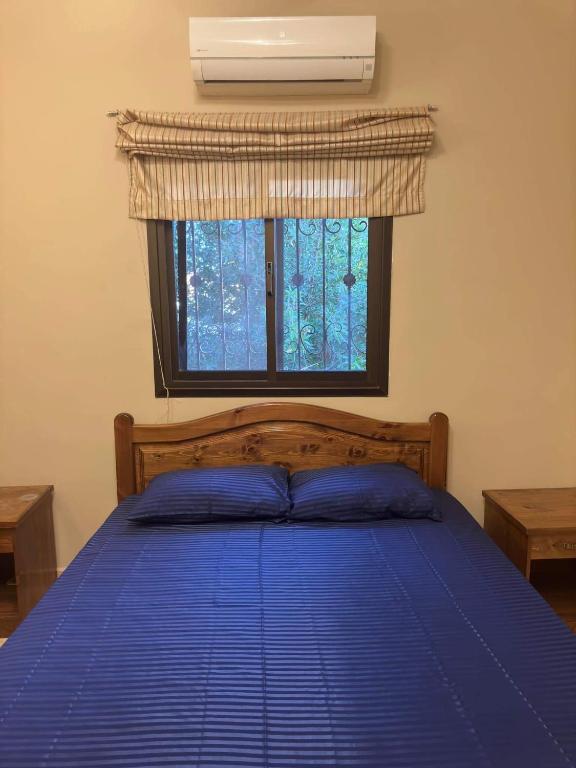 Turtle house, Dahab (updated prices 2024)