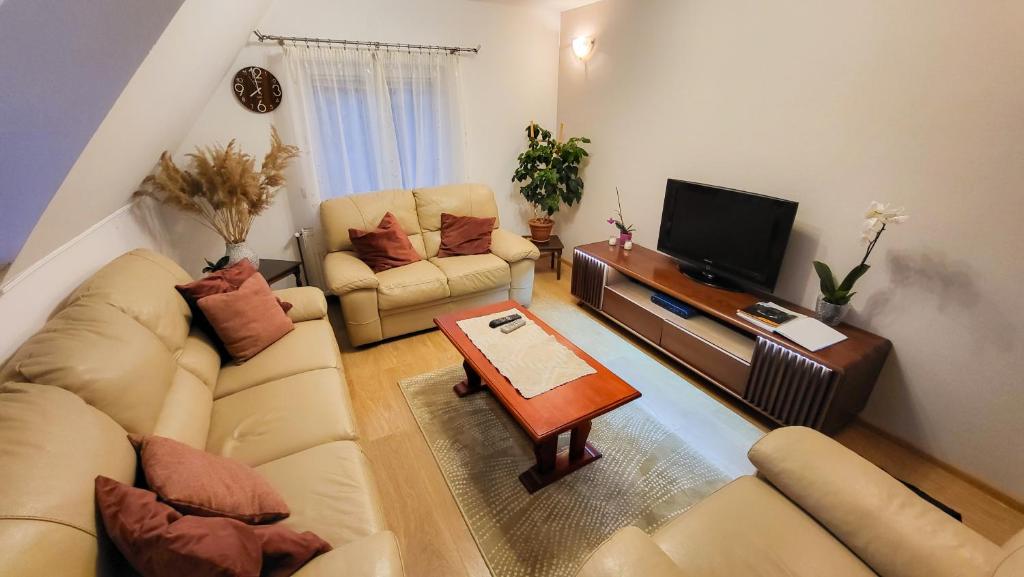 TV a/nebo společenská místnost v ubytování Apartment Home Popovic