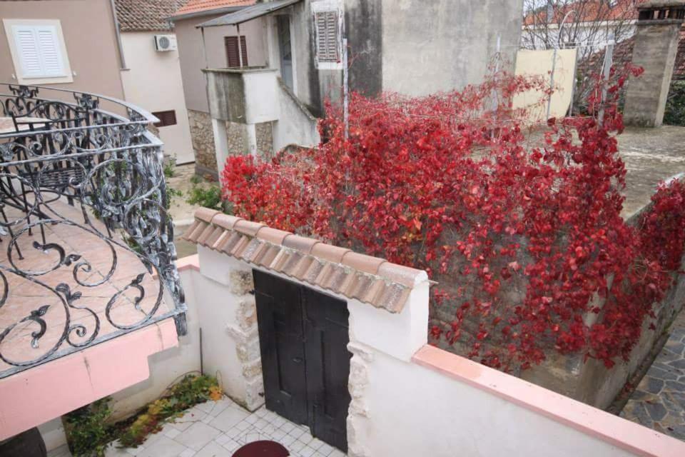 Fotografia z galérie ubytovania Apartment Elda v destinácii Petrcane
