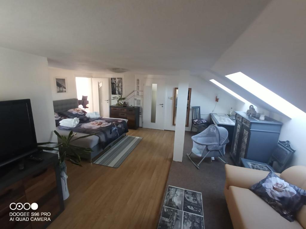 ein Wohnzimmer mit einem Sofa, einem Bett und einem TV in der Unterkunft Podkrovní apartman Tereza in Rumburk