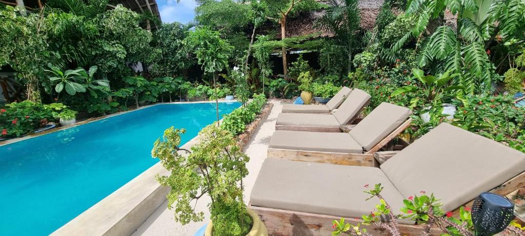 Kolam renang di atau di dekat Salama & Mbuyuni Bungalows